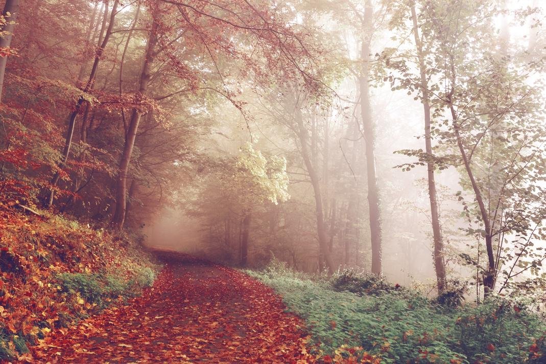 Officiis nemo et ducimus aliquam ullam fugiat quo laboriosam esse