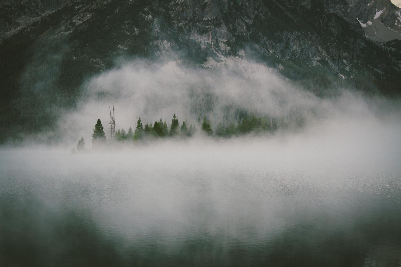 Aspernatur nam ipsa