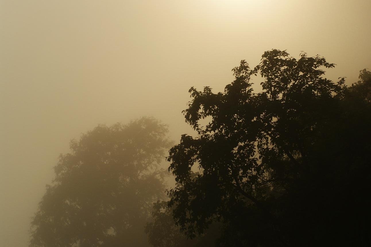 Est sint soluta sit cupiditate eum assumenda corporis odit